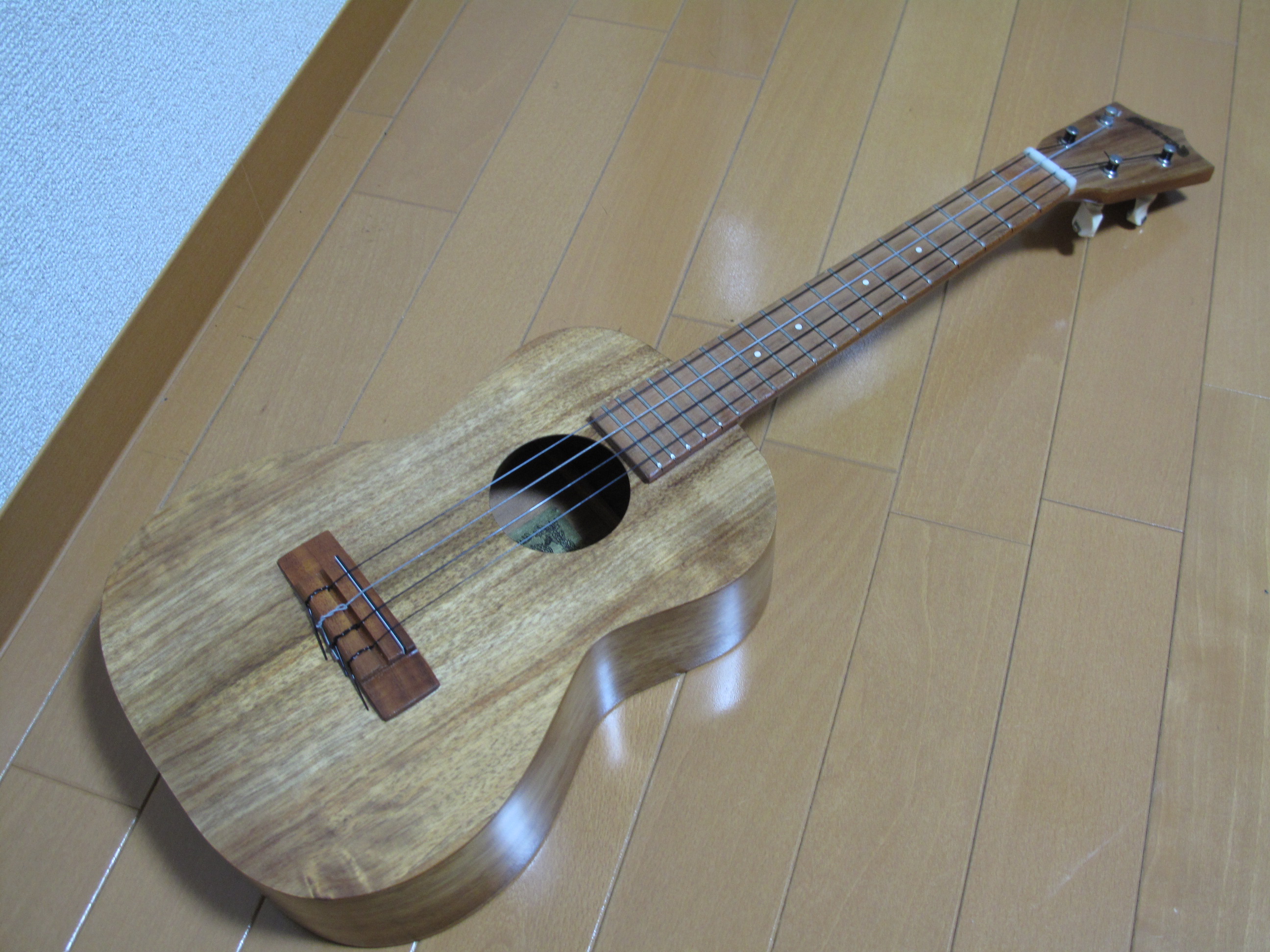 Sonny D Tenor Ukulele – myownwords